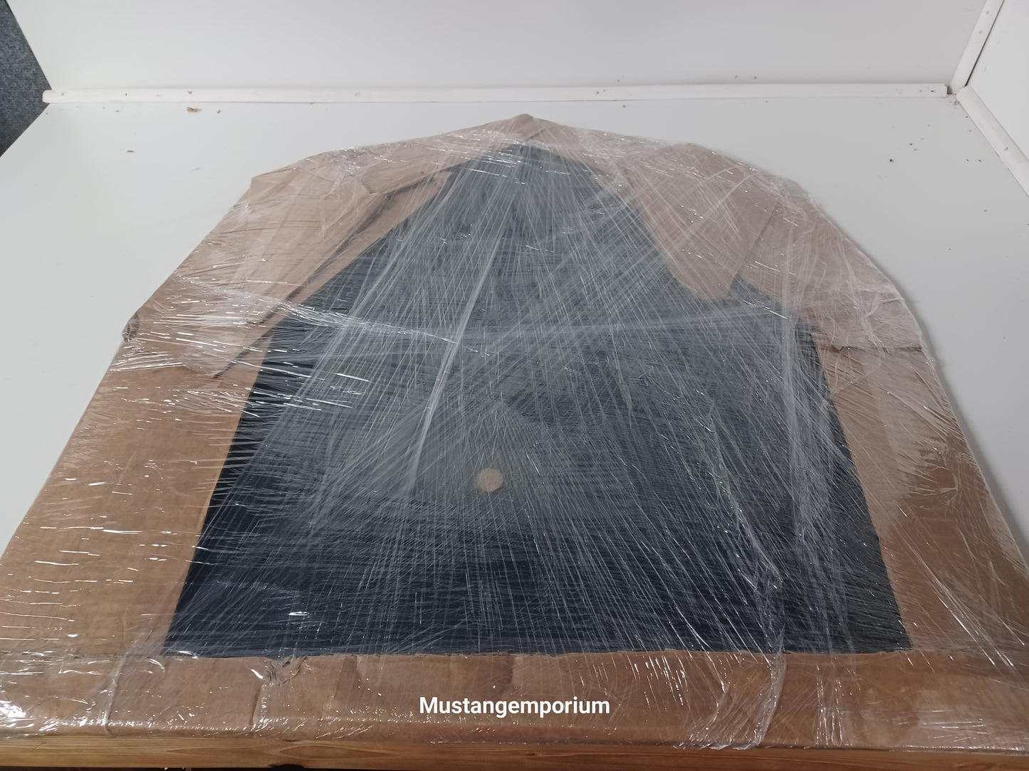 1979-2004 Ford Mustang Spare Tire Plastic ABS Cover